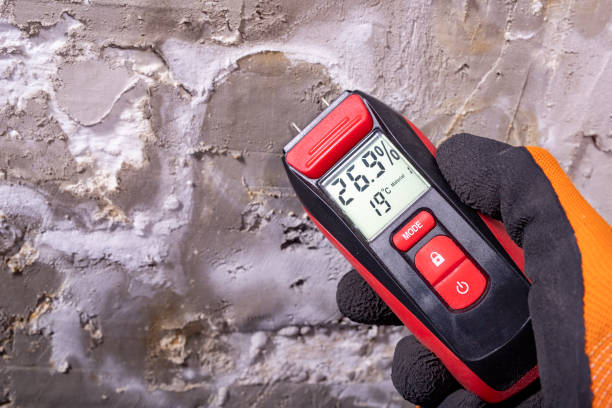 Best Emergency Mold Removal  in University, FL